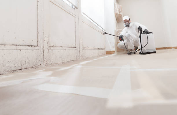 24/7 Emergency Attic Mold Removal experts in Fulton, MD