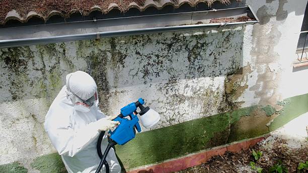 Trusted Attic Mold Removal service in Fulton, MD - Cheap Mold Removal